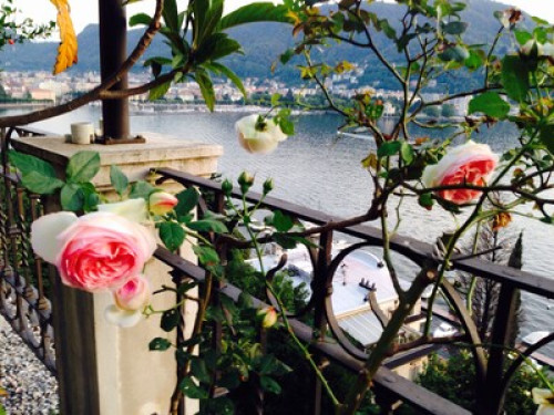 Cosy, bright and Allegr