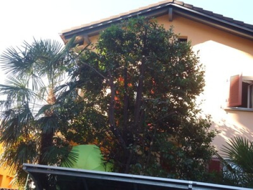 Homestay Didi - Gallery - 18