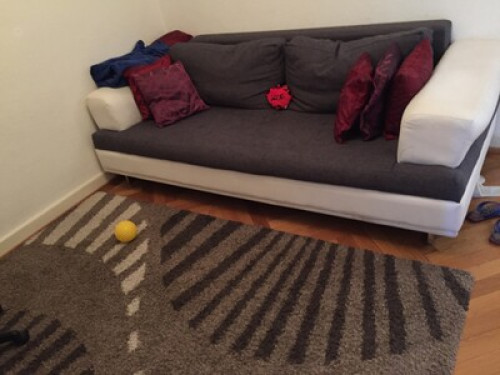  Large Bedroom in Central Geneva