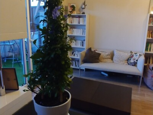 Room in the center of Annecy