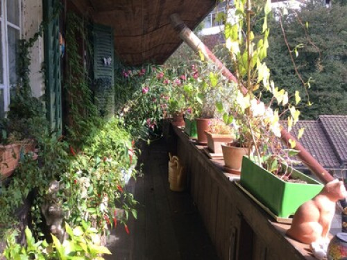 quiet room near Bern