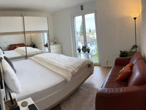 VK - Luxury Home Stay - Kloten