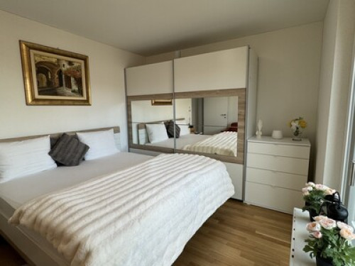 VK - Luxury Home Stay - Kloten