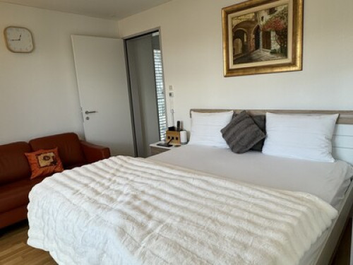 VK - Luxury Home Stay - Kloten