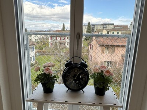 VK - Luxury Home Stay - Kloten - Gallery - 7