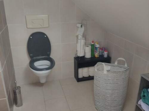Rent furnished room bathroom