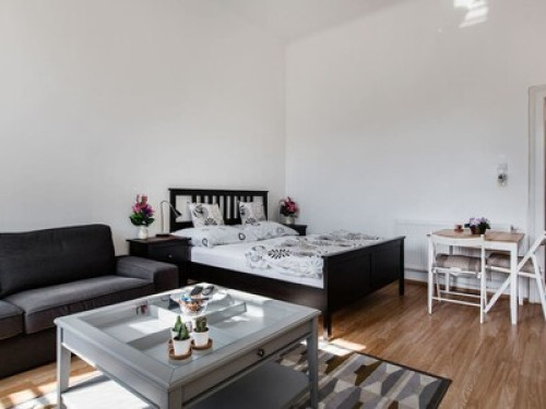 Biggest Room in Budapest Center - Gallery - 16