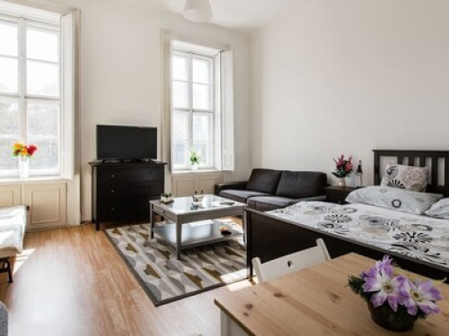 Biggest Room in Budapest Center - Gallery - 18