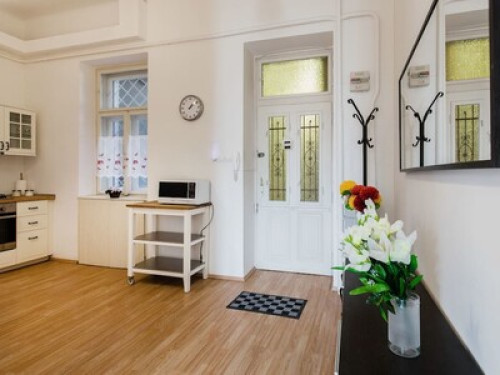 Biggest Room in Budapest Center - Gallery - 8