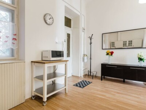 Biggest Room in Budapest Center - Gallery - 11
