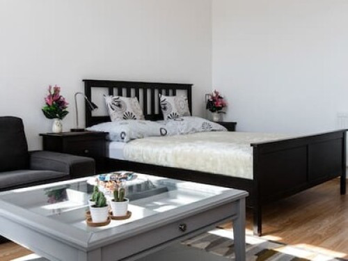 Biggest Room in Budapest Center