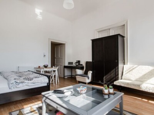 Biggest Room in Budapest Center - Gallery - 13