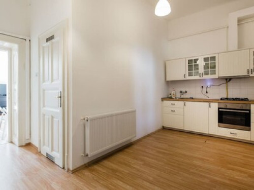 Biggest Room in Budapest Center - Gallery - 9