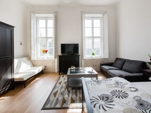 Biggest Room in Budapest Center