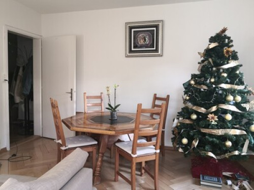 The Mexican Experience