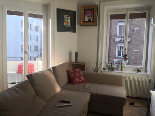 The Mexican Experience