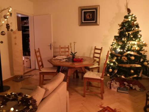 The Mexican Experience