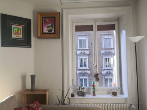 The Mexican Experience