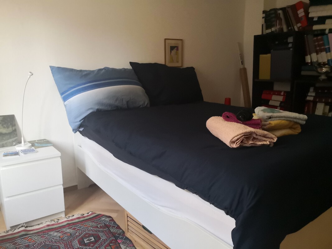  The Mexican Room(Single Bed)  -  The Mexican Experience  - Gallery -  1