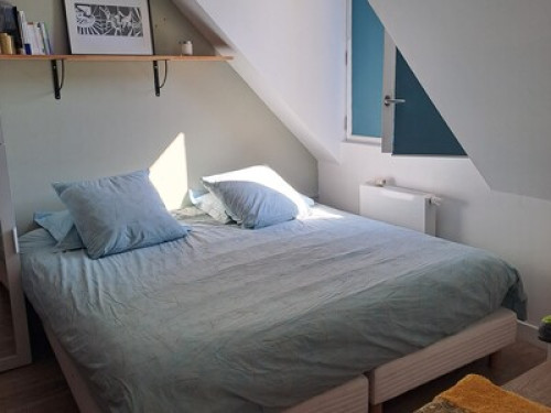 Cozy room in hypercentre