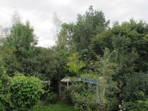 Awesome host Allach-Untermenzing