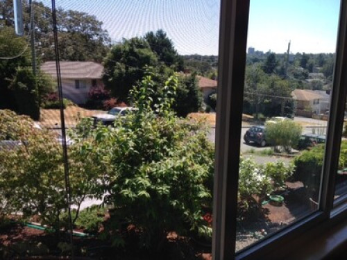 Student accommodation look here!!