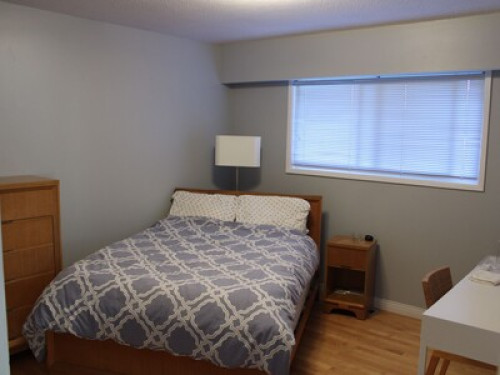 Groovy,modern close to uvic & beach - Gallery - 19