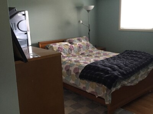 Groovy,modern close to uvic & beach - Gallery - 20