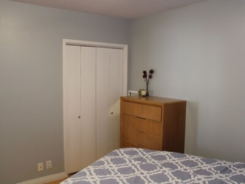 Groovy,modern close to uvic & beach - Gallery - 18