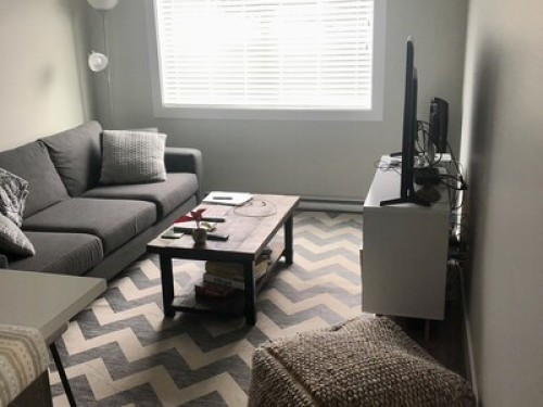 Brand New One Bedroom Suite