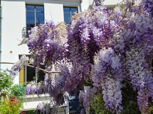 House with garden in Paris centre - Gallery - 18