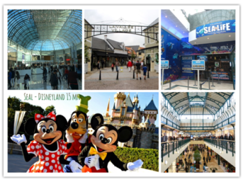 Work & Relax in Paris & Disneyland - Gallery - 16