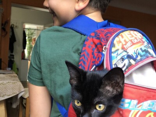 10 minutes from Saint Lazare train station