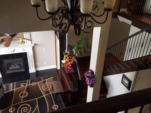 friendly and fun homestay