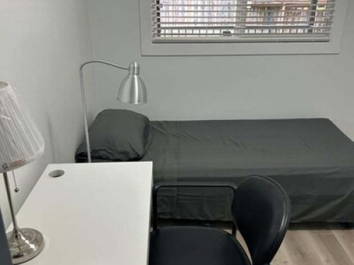 1 Bedroom + airport pick up - Gallery - 12