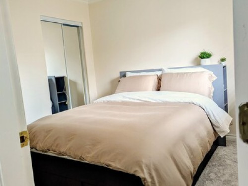 Spacious Bright and Cozy Suite - Gallery - 18