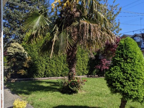 Spacious Bright and Cozy Suite  - Gallery -  5