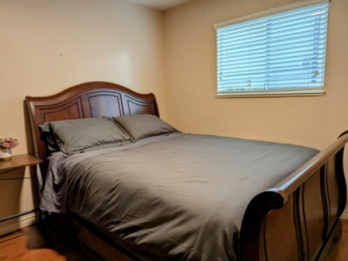 Spacious Bright and Cozy Suite - Gallery - 16