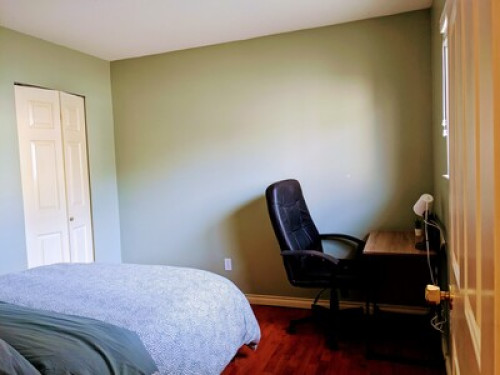 Spacious Bright and Cozy Suite - Gallery - 37