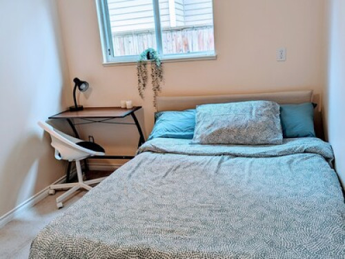 Spacious Bright and Cozy Suite - Gallery - 8
