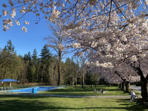 5min Walk to Metro and Shopping