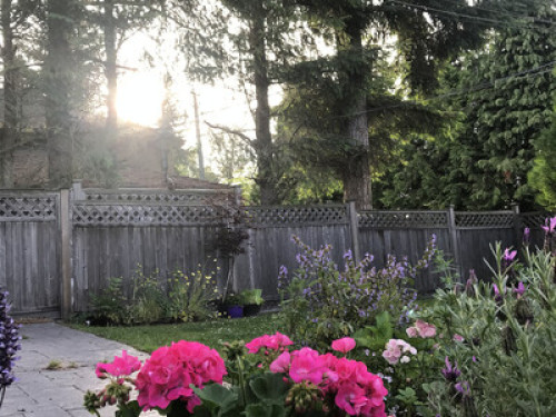 Your home away from home - Gallery - 27
