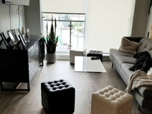 Beautiful Condo with 1 and Guest - Gallery - 8