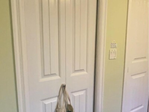 Friendly Safe Home Female House - Gallery - 20