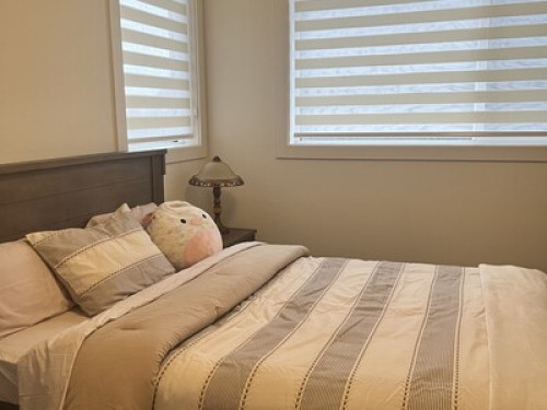 International homestay  - Gallery - 7