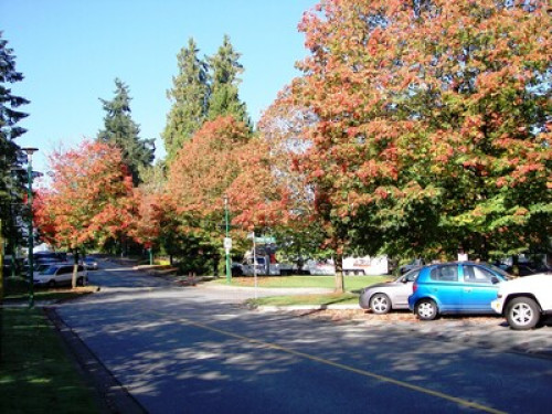 Cozy lower room in quiet city centr  - Gallery -  5