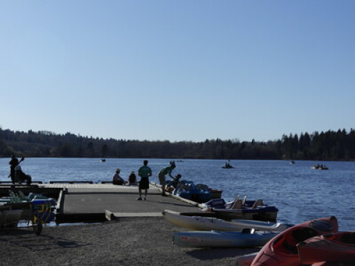 Cozy lower room in quiet city centr