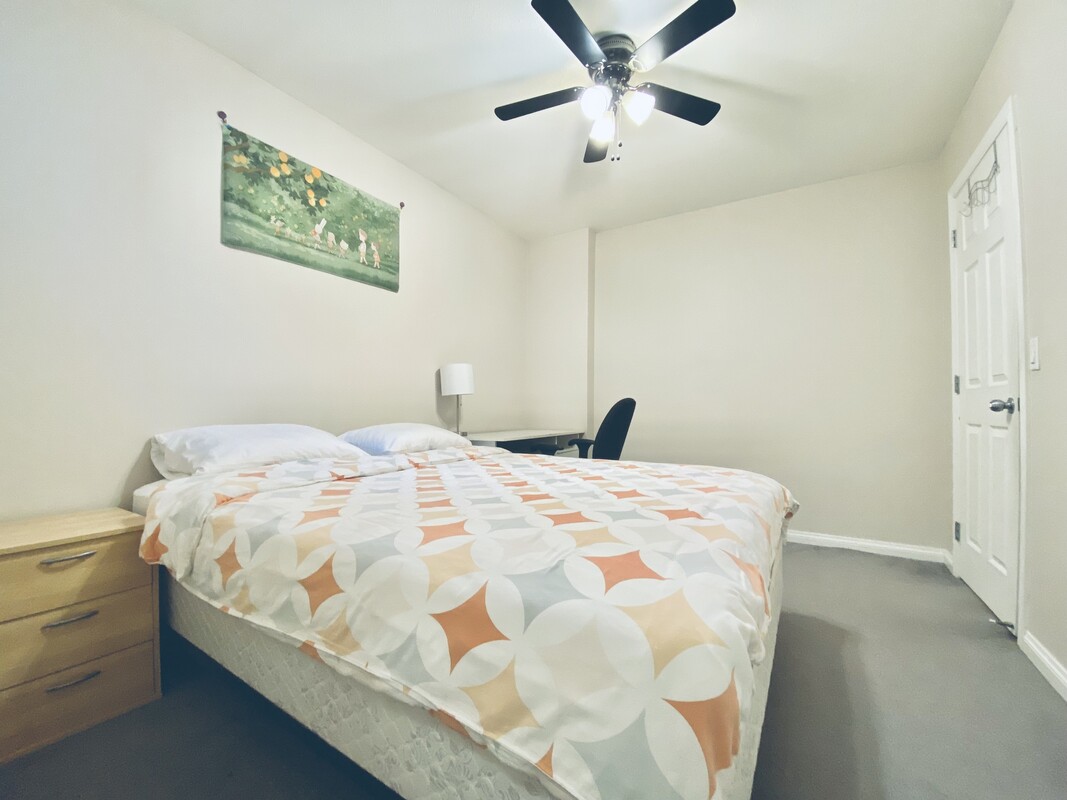  Bedroom East(Full Room)  -  Cozy lower room in quiet city centr  - Gallery -  1