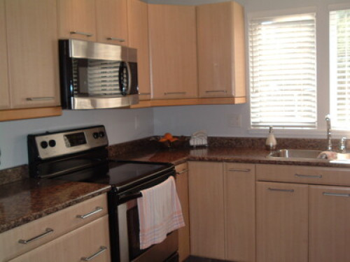 clean-student-homestay-females-only-coquitlam-5952249020240815010159AM