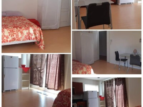 Homestay experienced. Of internatio